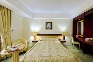 Tabriz Pars Single Room