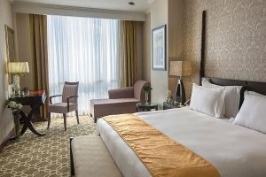 Espinas Palace Double Room (City View, Floors 10 to 14)