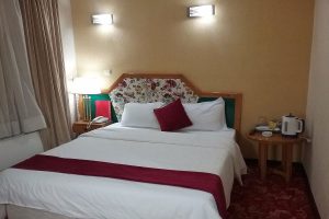 Ahvaz Pars Double Room (For One Person)