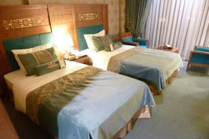 Zandie Twin Room