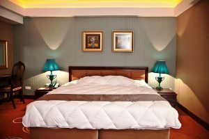 Shiraz Grand Hotel Double Room (For One Person)