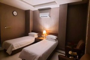 Statice Twin Room