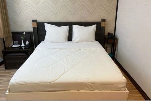 Julfa Double Room (For One Person)