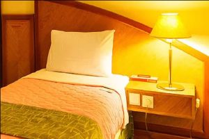 Shiraz Pars Single Room