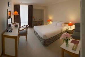 Tehran Homa Double Room (For One Person)