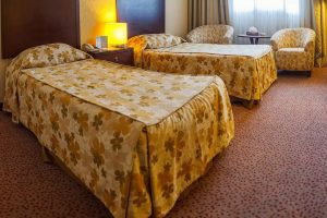 Tehran Lale Twin Room