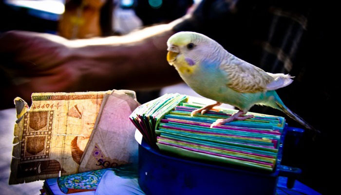 Iran Travel Etiquette: Essential Cultural Norms You Need To Know